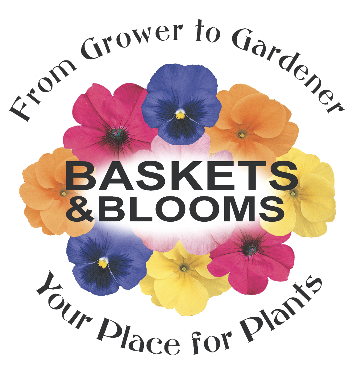 Baskets & Blooms